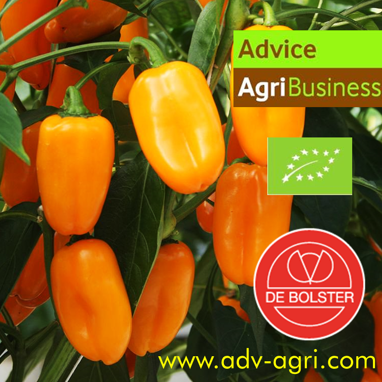 Advice.AgriBusiness